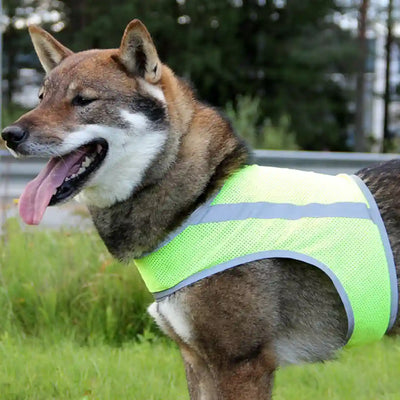 Muista näkyä pimeällä!