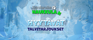 TALVITARJOUKSET