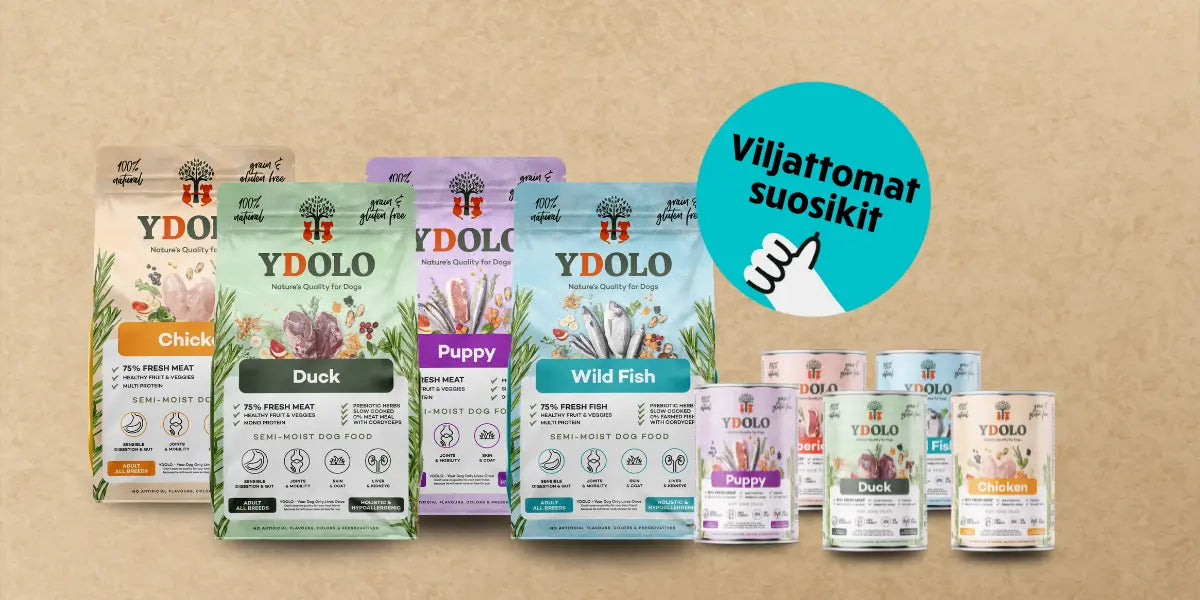 YDOLO