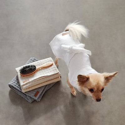 Oliver's Life & Style