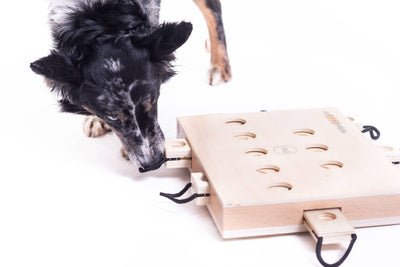 My Intelligent Dogs iPet - Älypeli Koirille