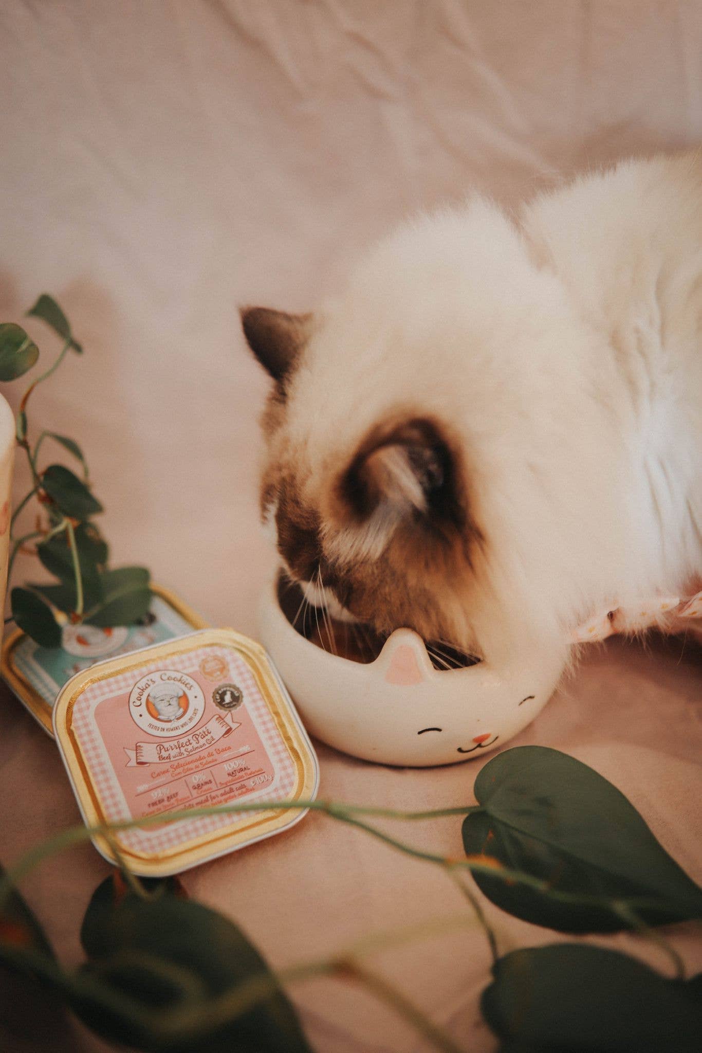 Cooka's Cookies PURRFECT Paté – Luonnollinen Naudanlihapaté Kissoille