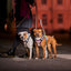 Hurtta Weekend Warrior Valjas II - Neon Musta