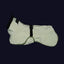 Paikka Reflective Shell Jacket Matcha