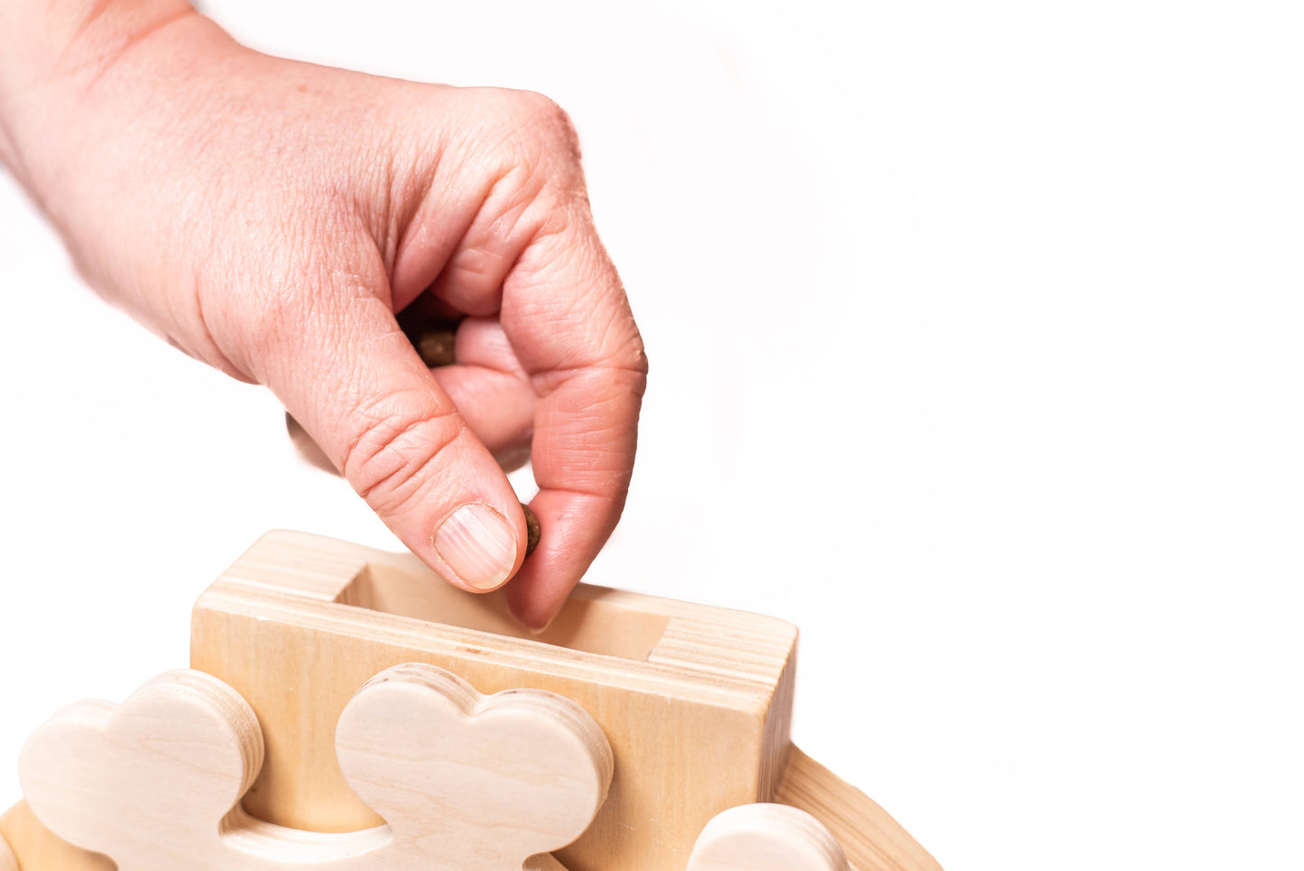 My Intelligent Dogs Clock – Älypeli koirille ja kissoille