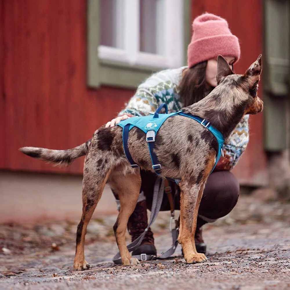 Hurtta Safeguard Valjas ECO - Vaaleansininen