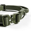 BullyBillows 2,5 cm Lighter Combat® Collar, KHAKI X KHAKI – Panta kahvalla ja turvalukolla