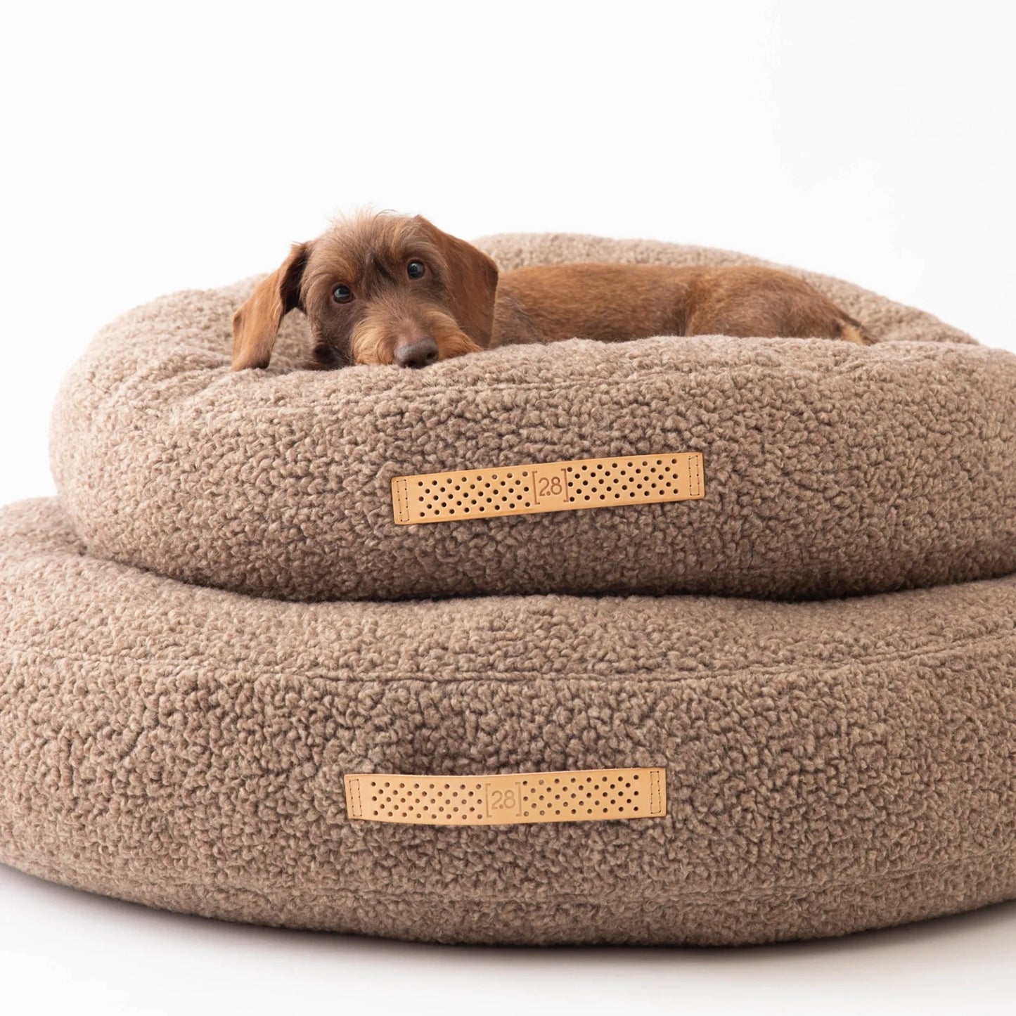 2.8 Fulvio - Bouclé Wool Koiranpeti