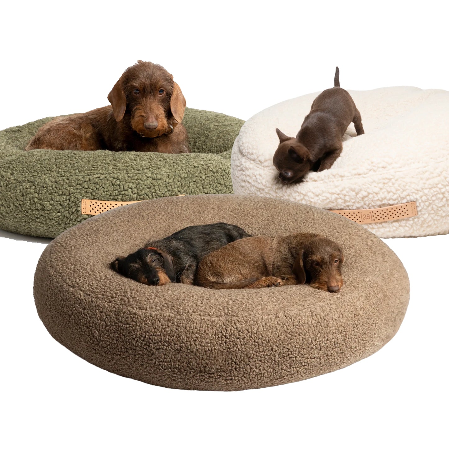 2.8 Fulvio - Bouclé Wool Koiranpeti