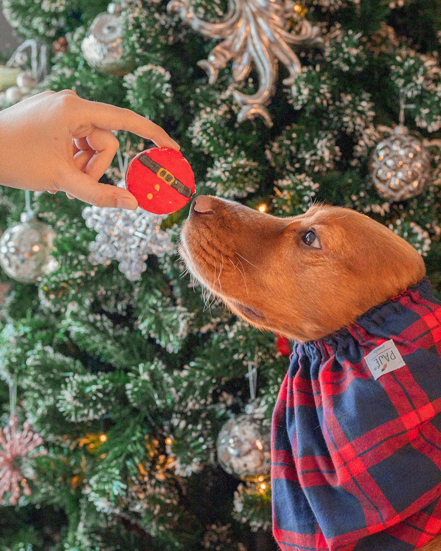 Cooka's Cookies Santa's Belly Macaronit - Christmas Gift Box