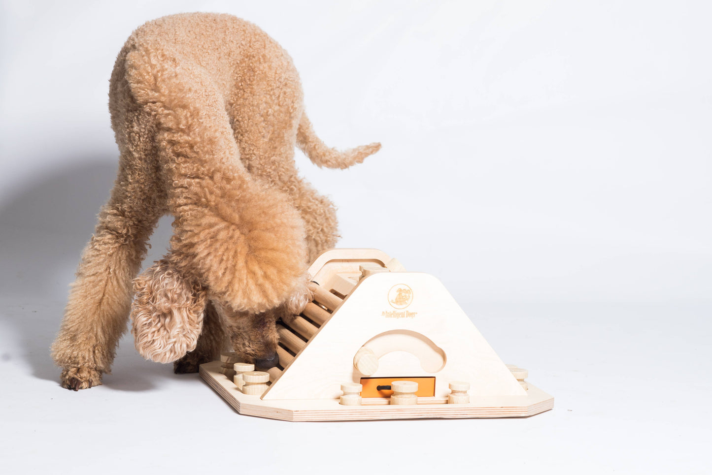 My Intelligent Dogs Pyramid – Haastava älypeli koirille