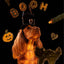 Cooka's Cookies Halloween - Spooky Box