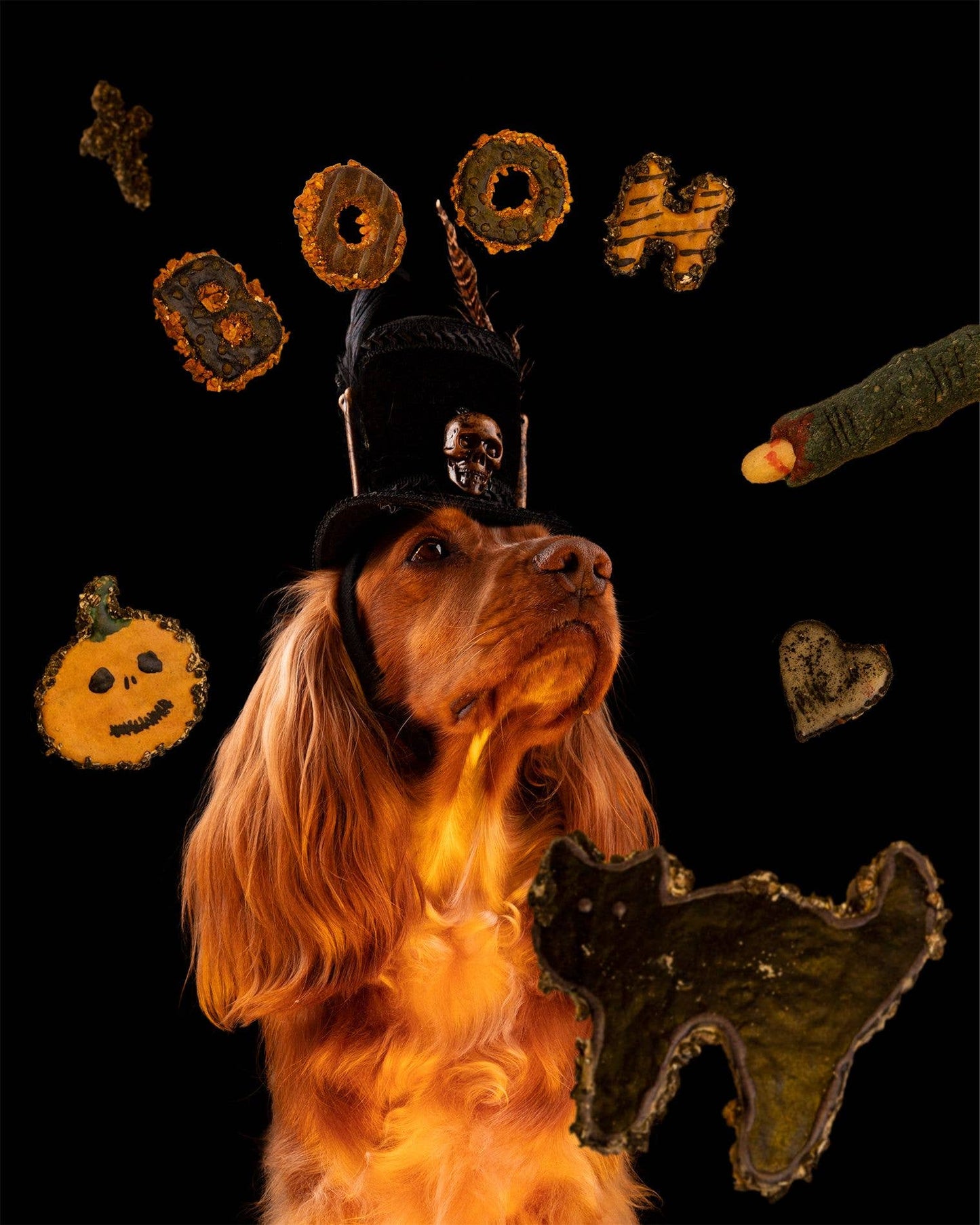 Cooka's Cookies Halloween - Spooky Box