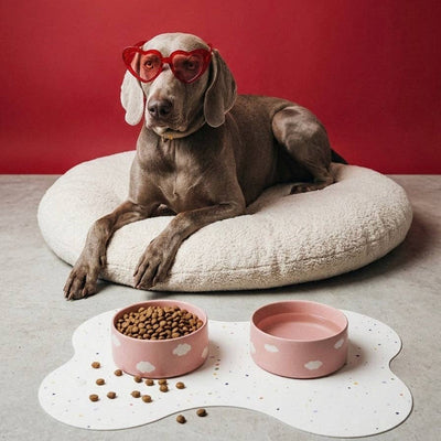 New Party Bone Ruokailualusta