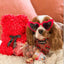 Cooka's Cookies, Beijinhos Pink Kisses - Rapeat ja Luonnolliset Kalkkuna & Tonnikalaherkut Koirille