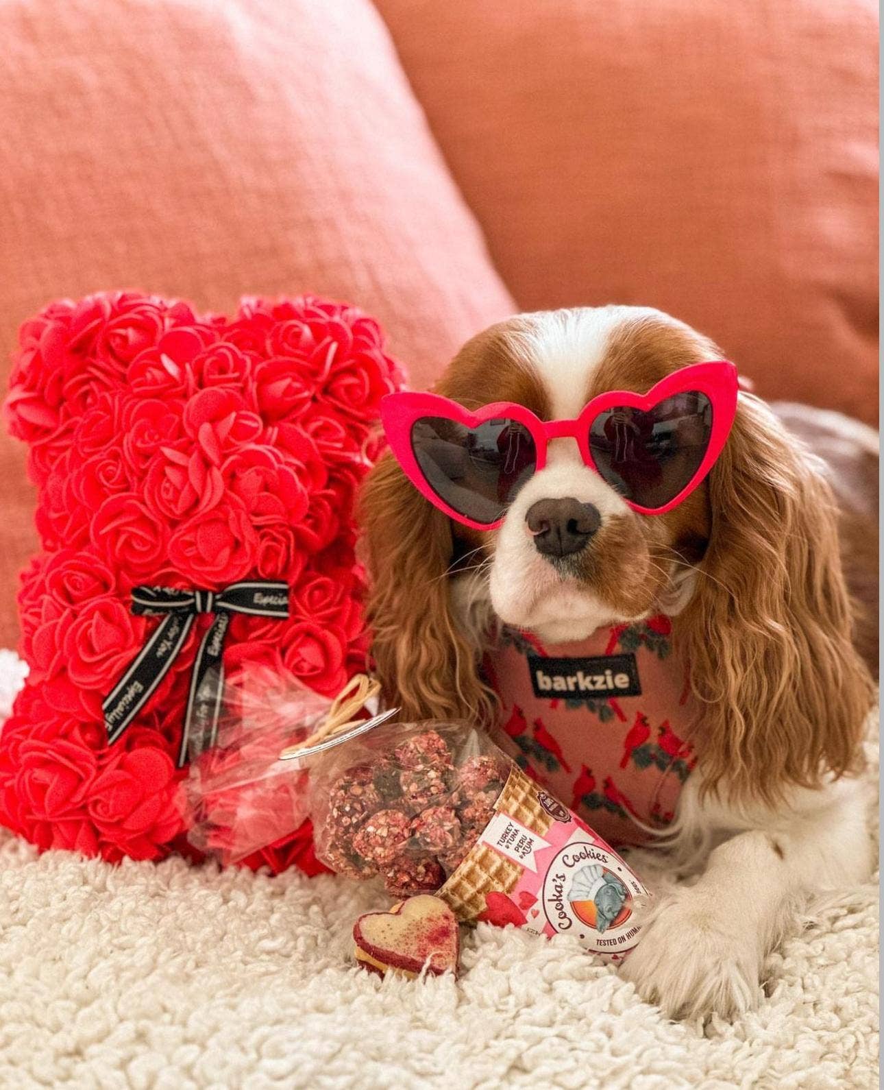 Cooka's Cookies, Beijinhos Pink Kisses - Rapeat ja Luonnolliset Kalkkuna & Tonnikalaherkut Koirille