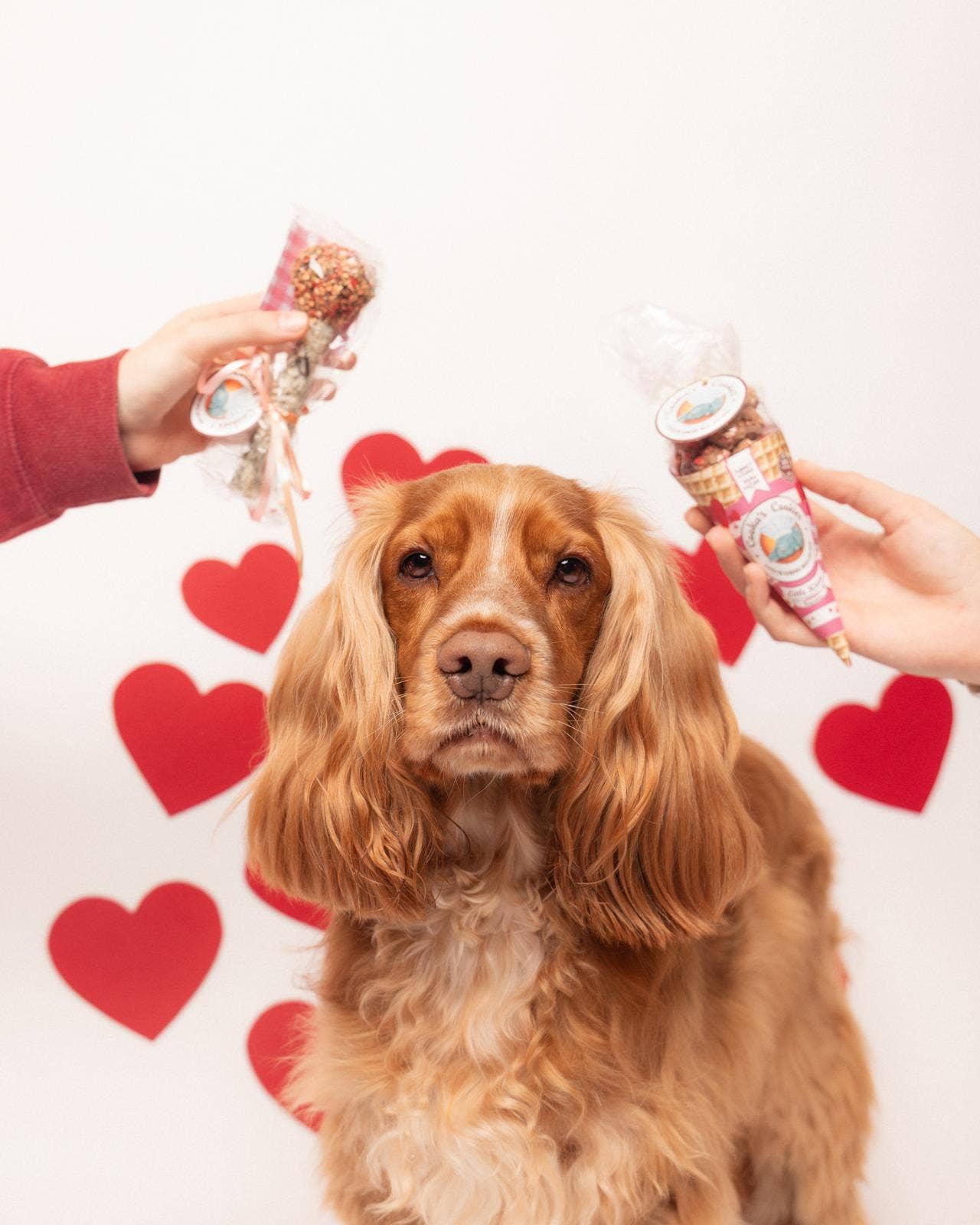 Cooka's Cookies, Beijinhos Pink Kisses - Rapeat ja Luonnolliset Kalkkuna & Tonnikalaherkut Koirille