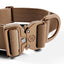 BullyBillows 5 cm Lighter Combat® Collar, TAN X TAN – Panta kahvalla ja turvalukolla