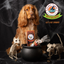 Cooka's Cookies Vampire Donuts - Halloween Donitsit