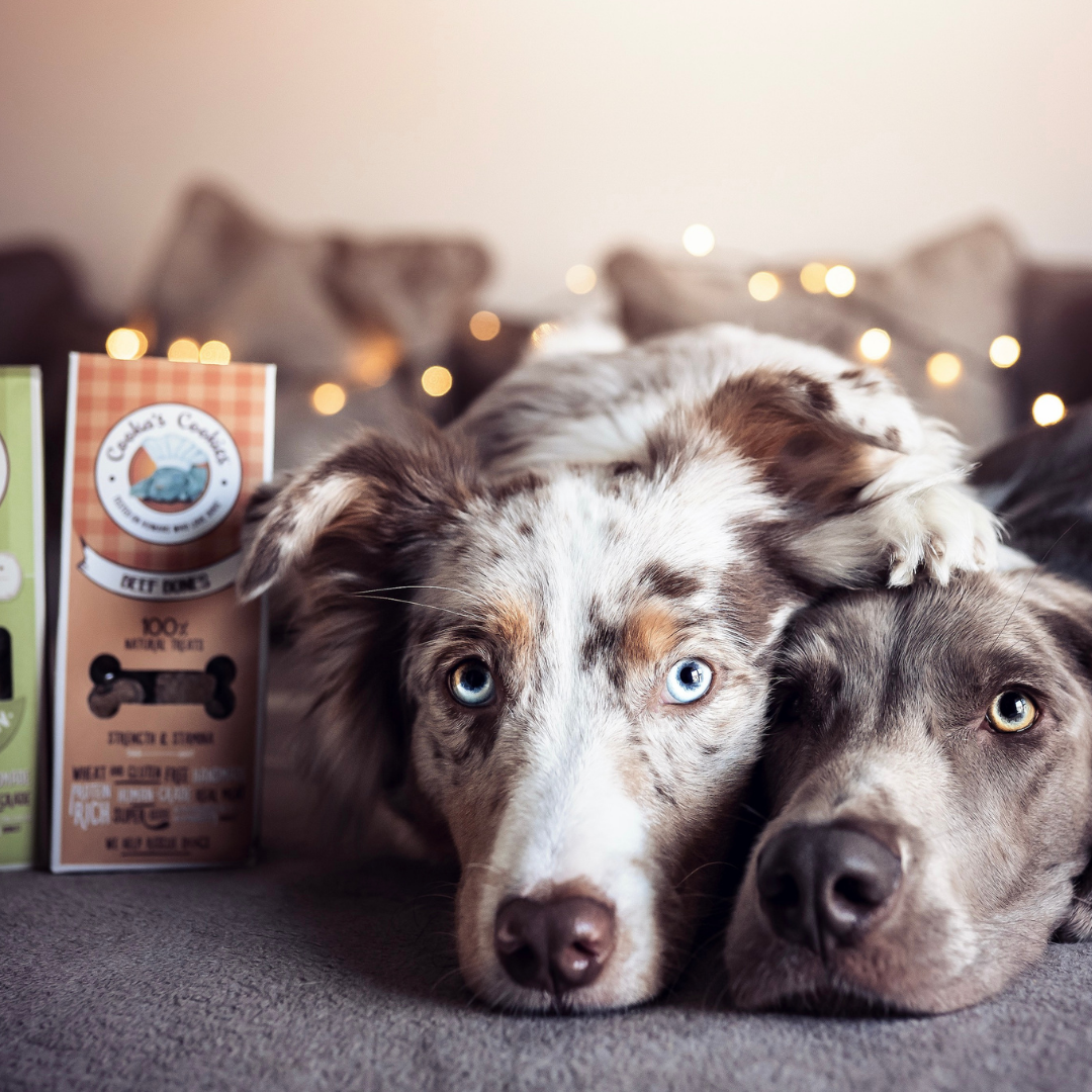 Cooka's Cookies Beef Bones - Naudanlihakeksit 100g