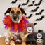 Cooka's Cookies Halloween - Kiss the Witch Kalkkuna & Kurpitsaherkut