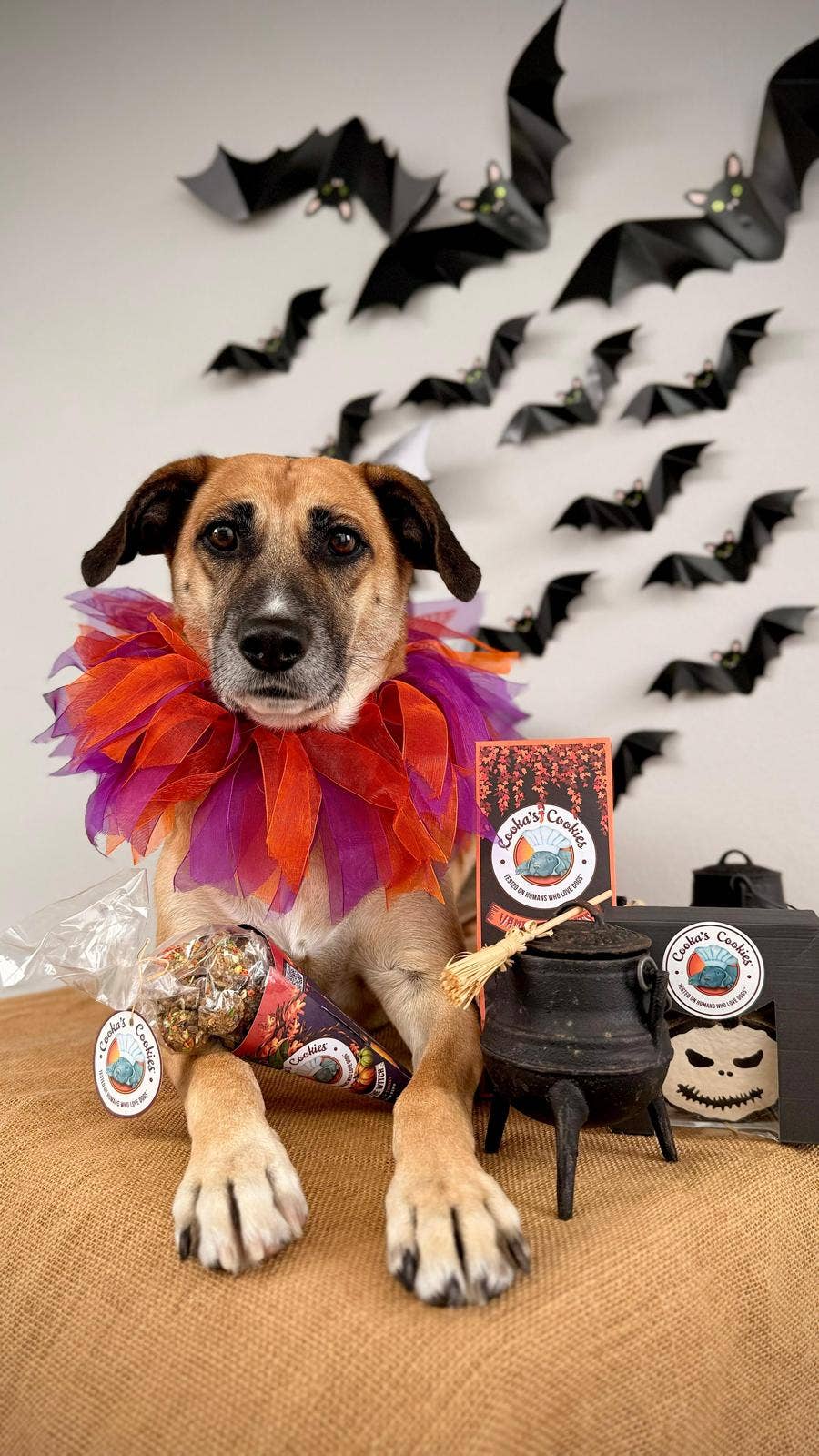 Cooka's Cookies Halloween - Kiss the Witch Kalkkuna & Kurpitsaherkut