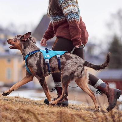 Hurtta Safeguard Valjas ECO - Vaaleanpunainen