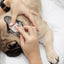 Eye Envy Fresh Ear Cleaning Wipes for Dogs 60kpl