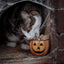 Cooka's Cookies Halloween - Kiss the Witch Kalkkuna & Kurpitsaherkut