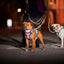 Hurtta Weekend Warrior Valjas II - Neon Musta