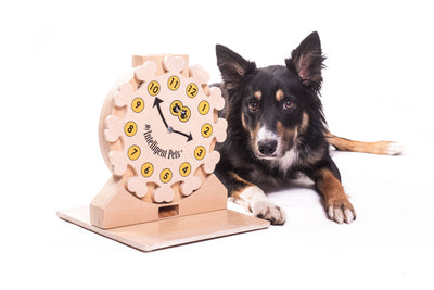 My Intelligent Dogs Clock – Älypeli koirille ja kissoille