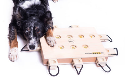 My Intelligent Dogs iPet - Älypeli Koirille
