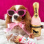 Cooka's Cookies, Beijinhos Pink Kisses - Rapeat ja Luonnolliset Kalkkuna & Tonnikalaherkut Koirille