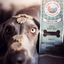 Cooka's Cookies Chicken Love - Kanakeksit 100g