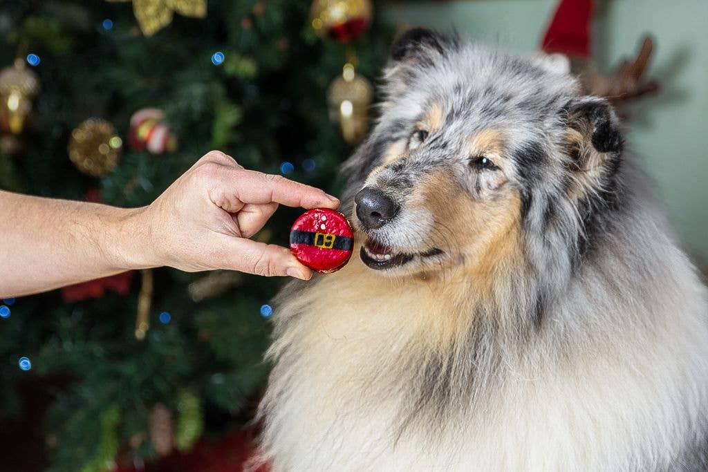 Cooka's Cookies Santa's Belly Macaronit - Christmas Gift Box