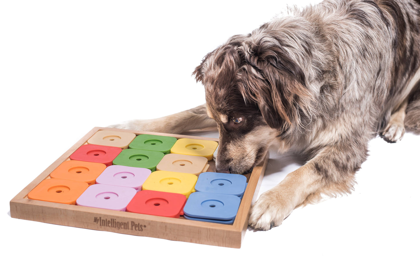 My Intelligent Dogs SUDOKU Large - Älypeli Korille