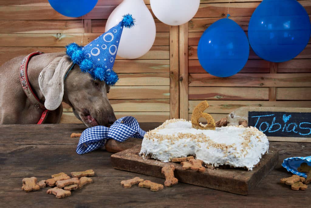 Cooka's Cookies Cake in a Box – Koiran Kakkumix, Kana tai Krilli