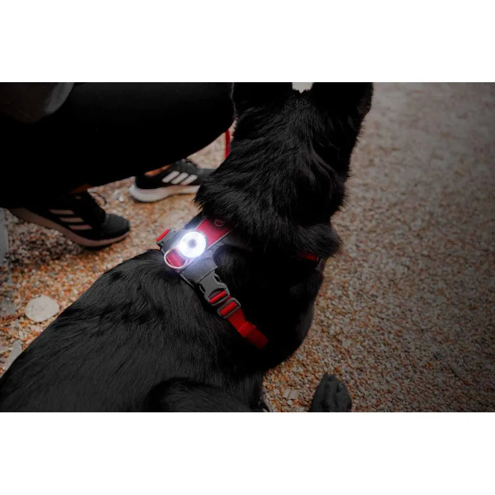 Ezydog Huomiovalo, Go2 Multicolour