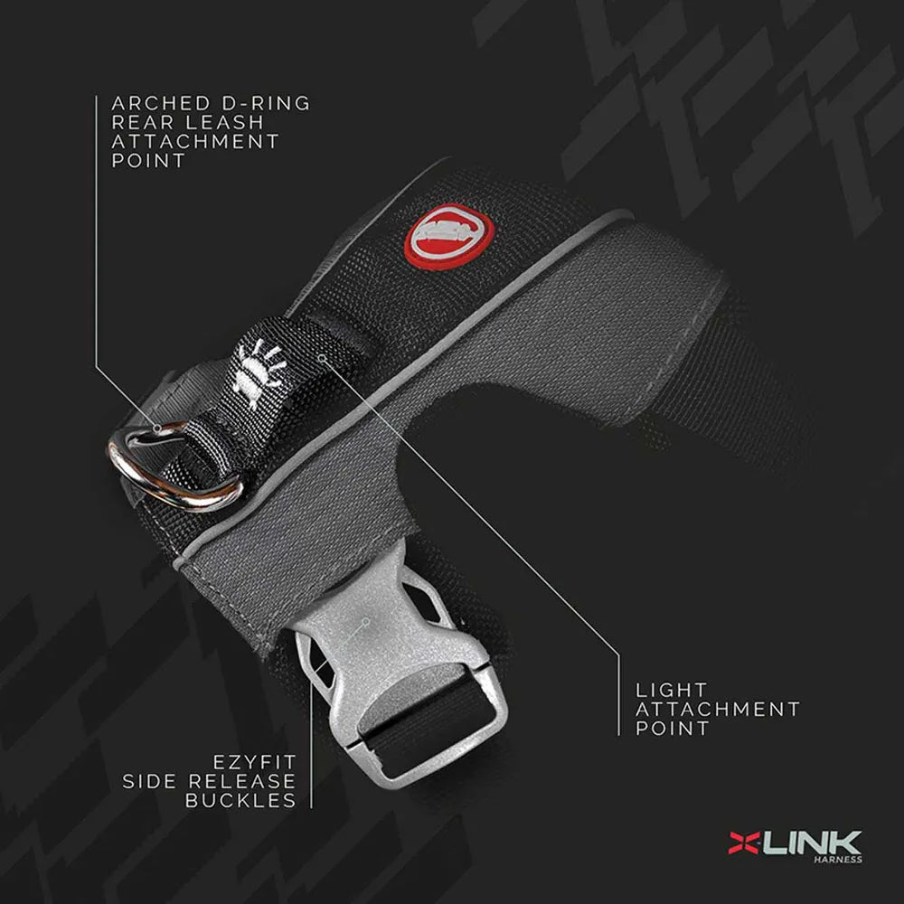 Ezydog Valjaat, X-Link - Eri kokoja
