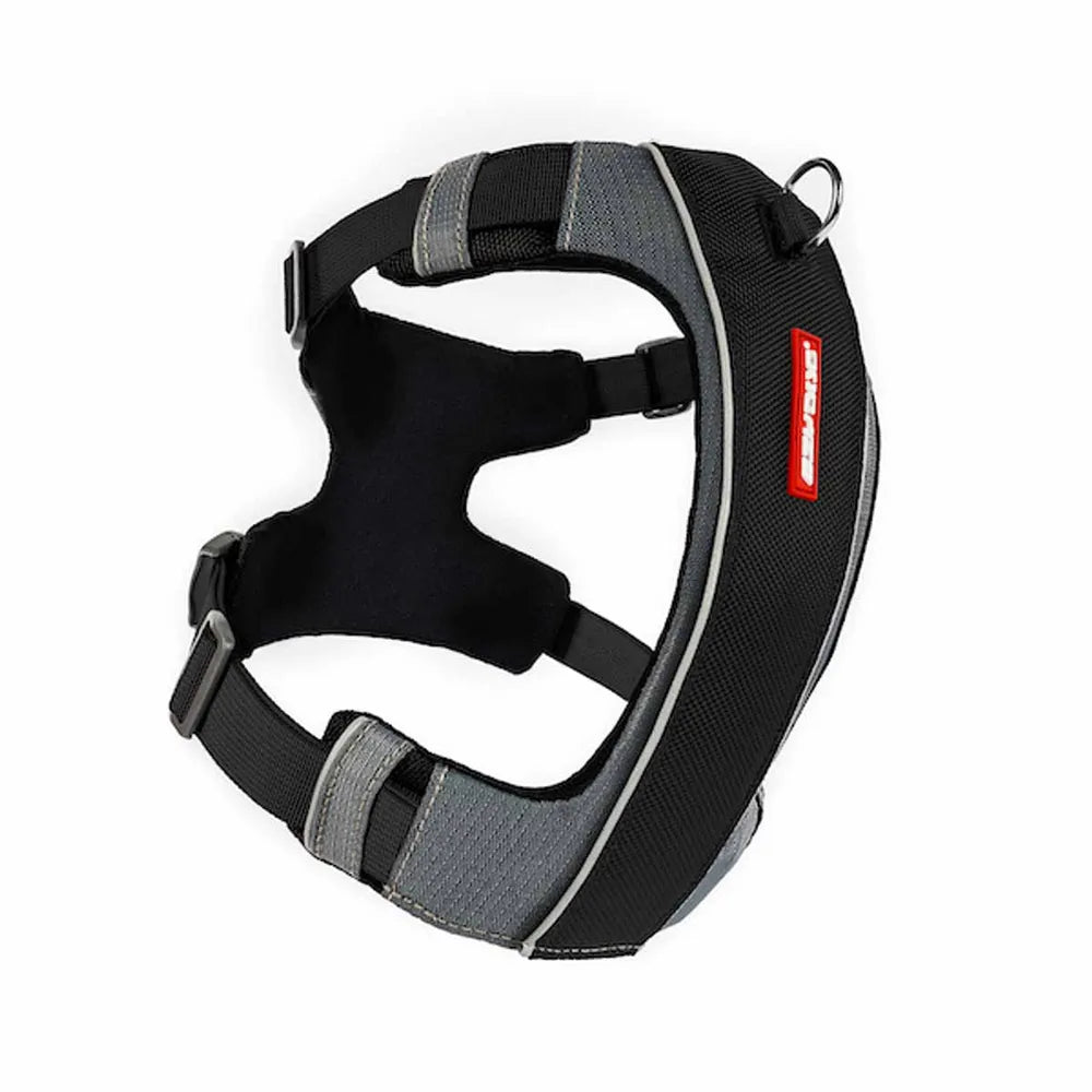 Ezydog Valjaat, X-Link - Eri kokoja