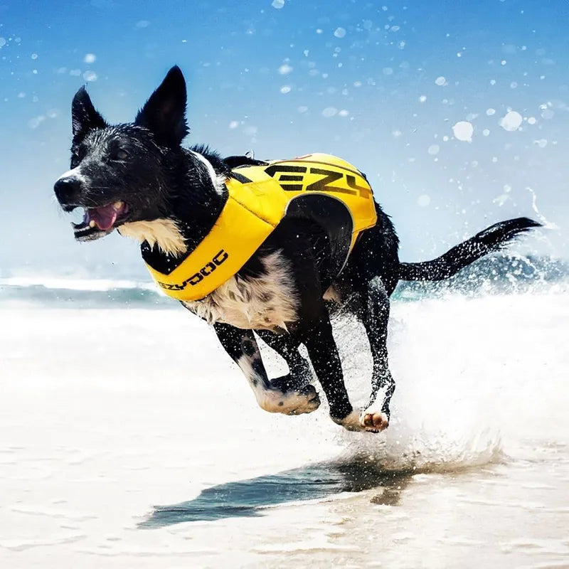 Ezydog X2 Boost Pelastusliivi - Eri kokoja