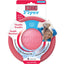 Kong Puppy Flyer S