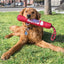 Kong Signature Rope Stick