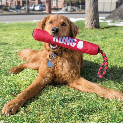 Kong Signature Rope Stick