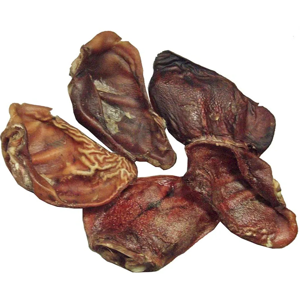 Tassukaverin Possupussi