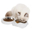 Catit Pixi Double Bowl