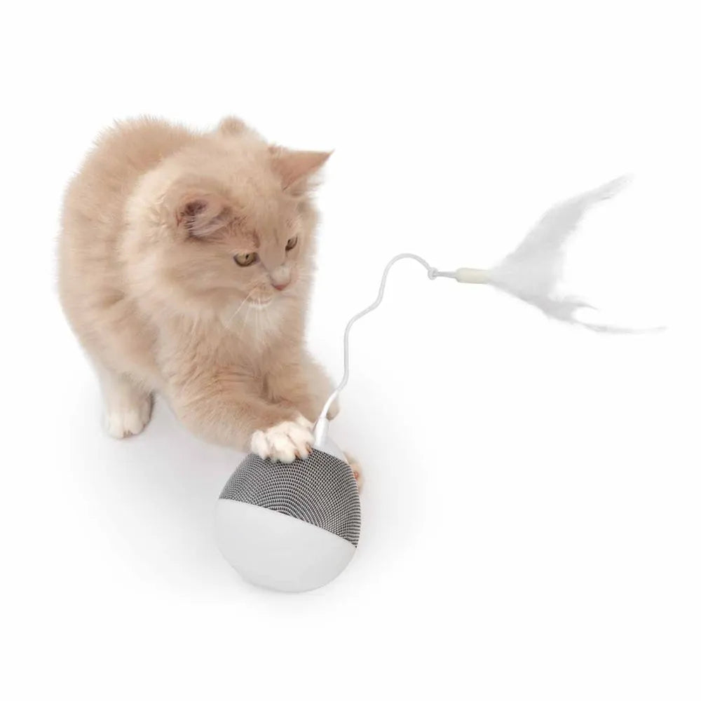 Catit Pixi Spinner - Eri värejä