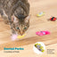 Catstages Cute As A Bug 6-pack