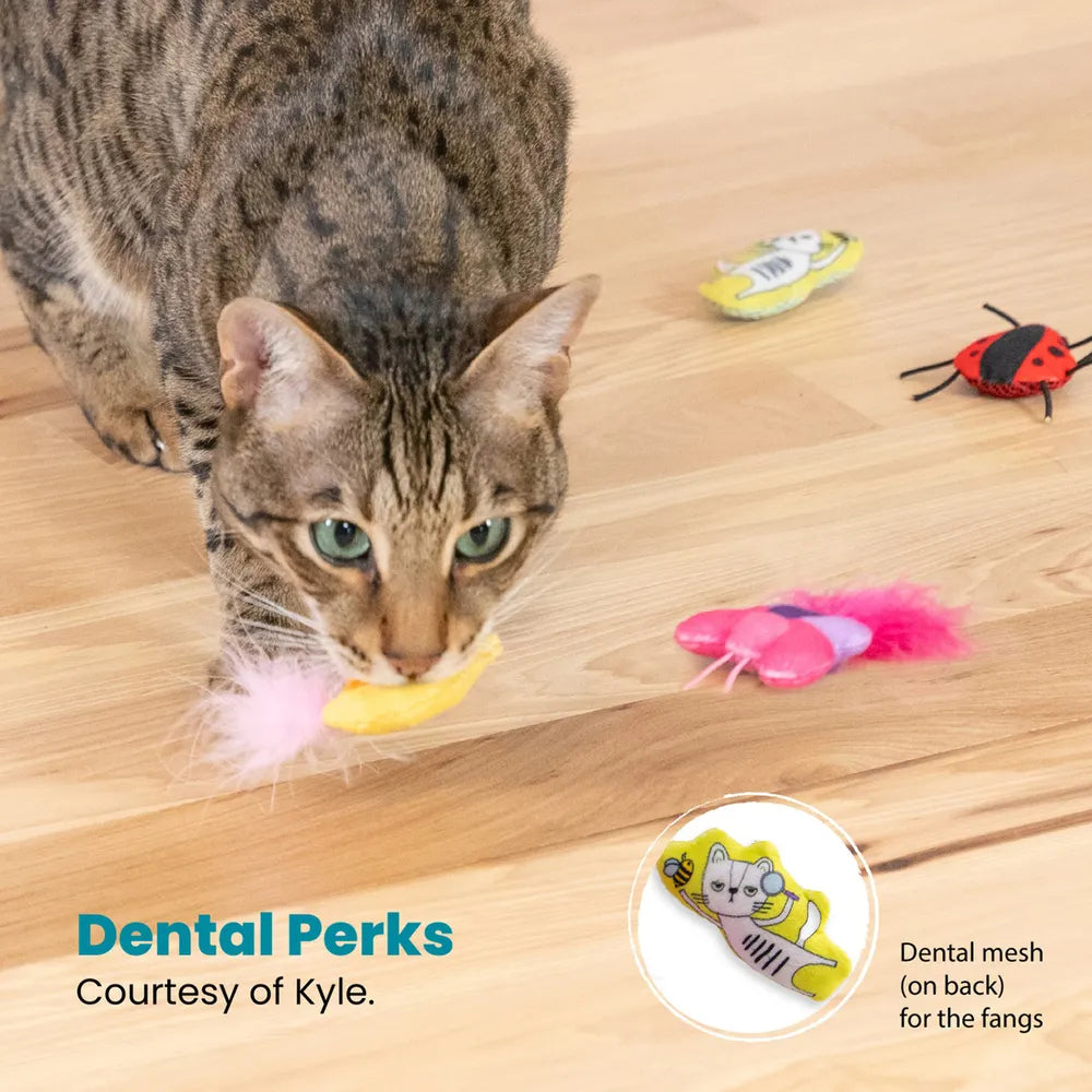 Catstages Cute As A Bug 6-pack