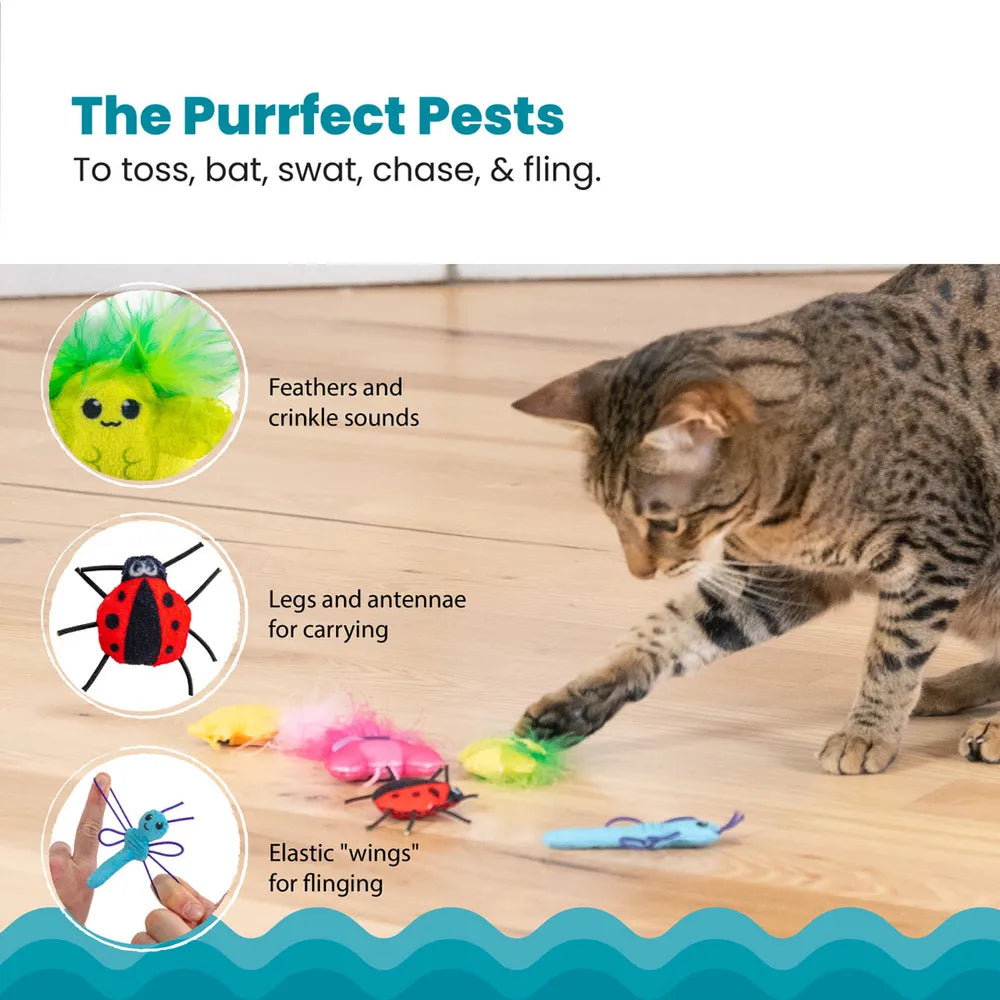 Catstages Cute As A Bug 6-pack